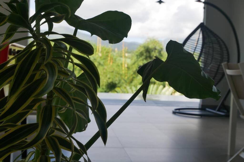 Villa Kumquat Avec Piscine Et Vue Sur Les Montagnes Petit-Bourg Εξωτερικό φωτογραφία